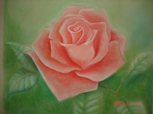 rose pastel